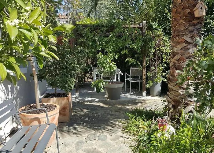 Lumineux Avec Jardin Privatif Lejlighed *